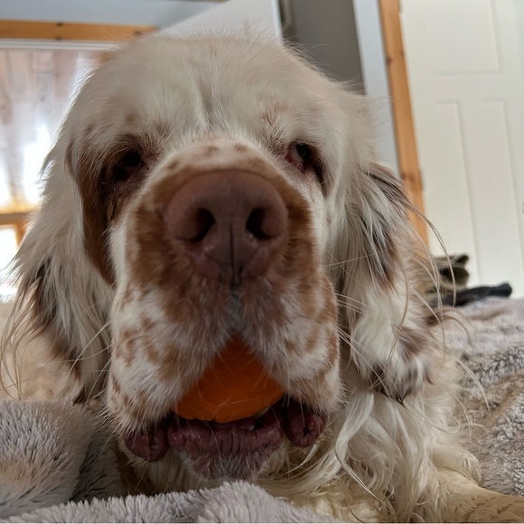 Meet your Posher, John - Picture 1 of 1